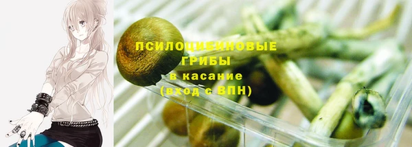 герыч Зеленодольск