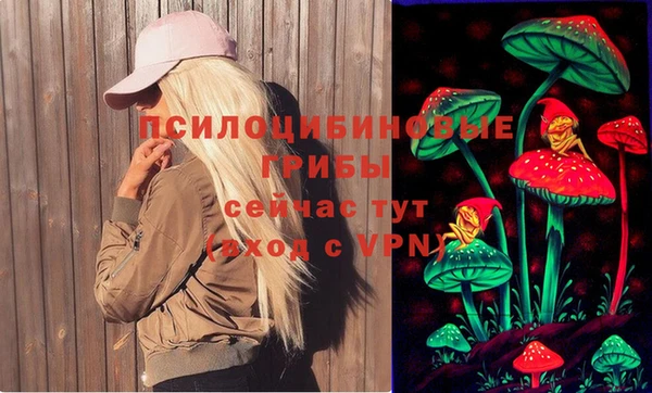молекула духа Зеленокумск